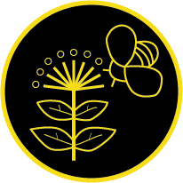 Impollinazione